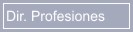 Acceso para la Dirección de Profesiones.