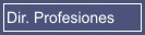 Acceso para la Dirección de Profesiones.